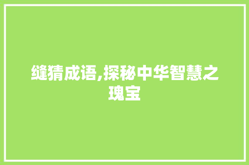 缝猜成语,探秘中华智慧之瑰宝