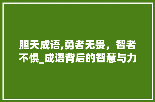 胆天成语,勇者无畏，智者不惧_成语背后的智慧与力量