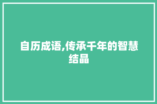 自历成语,传承千年的智慧结晶