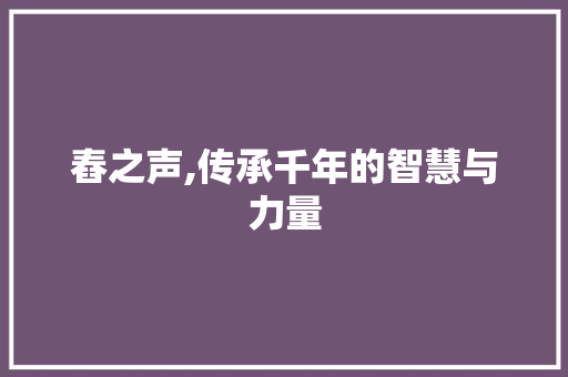 舂之声,传承千年的智慧与力量