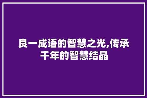良一成语的智慧之光,传承千年的智慧结晶