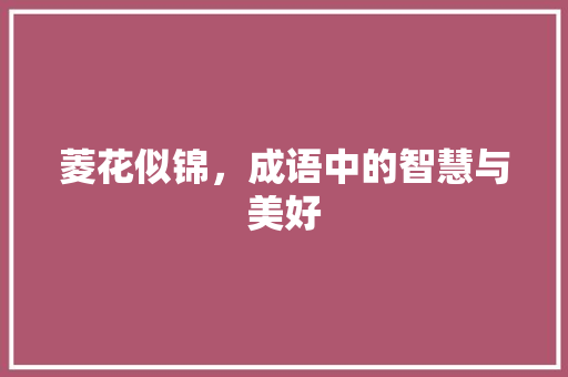 菱花似锦，成语中的智慧与美好 英语单词