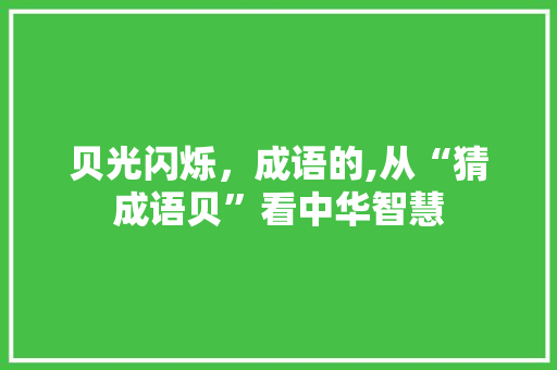 贝光闪烁，成语的,从“猜成语贝”看中华智慧 成语汇编