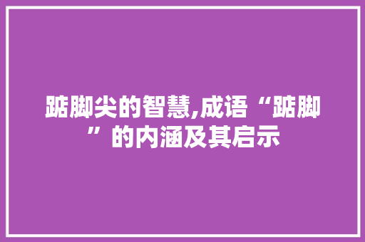 踮脚尖的智慧,成语“踮脚”的内涵及其启示