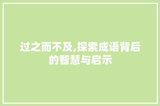 过之而不及,探索成语背后的智慧与启示