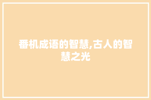 番机成语的智慧,古人的智慧之光 短语