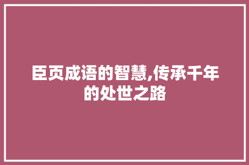 臣页成语的智慧,传承千年的处世之路