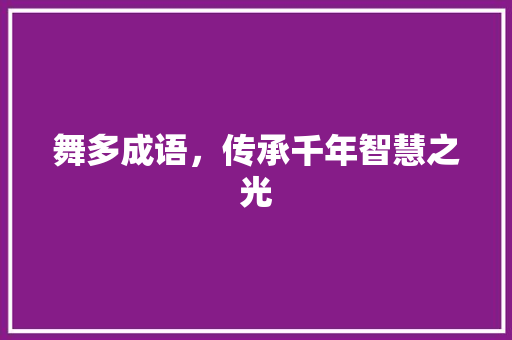 舞多成语，传承千年智慧之光