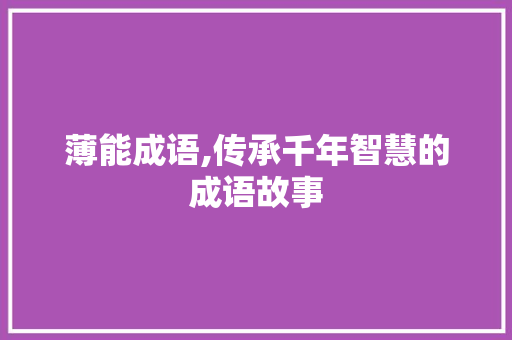 薄能成语,传承千年智慧的成语故事