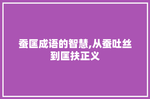 蚕匡成语的智慧,从蚕吐丝到匡扶正义