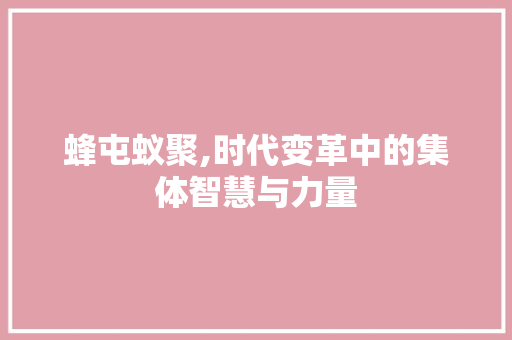 蜂屯蚁聚,时代变革中的集体智慧与力量