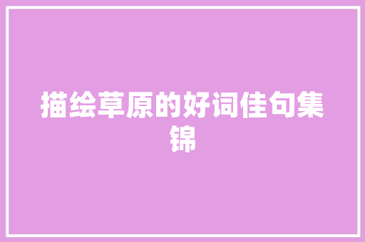 谬荒成语的智慧之光,提示生活中的误区与启示