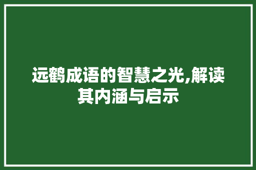 远鹤成语的智慧之光,解读其内涵与启示