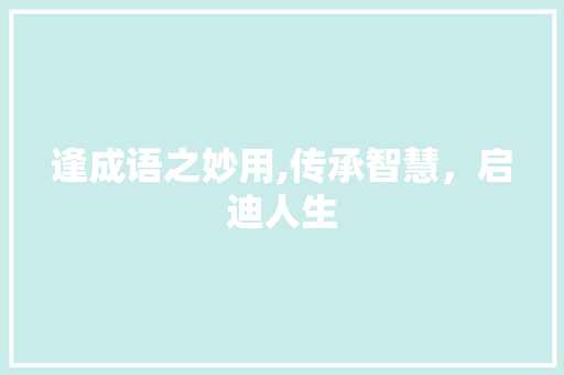 逢成语之妙用,传承智慧，启迪人生