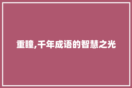重瞳,千年成语的智慧之光
