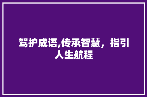 驾护成语,传承智慧，指引人生航程 汉字拼音