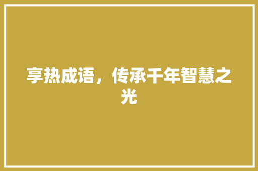 享热成语，传承千年智慧之光