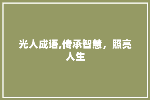 光人成语,传承智慧，照亮人生
