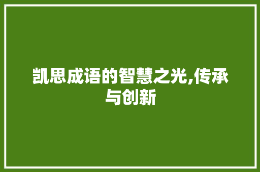 凯思成语的智慧之光,传承与创新