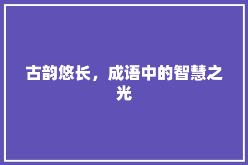 古韵悠长，成语中的智慧之光