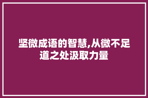 坚微成语的智慧,从微不足道之处汲取力量