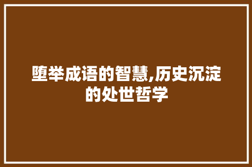 堕举成语的智慧,历史沉淀的处世哲学
