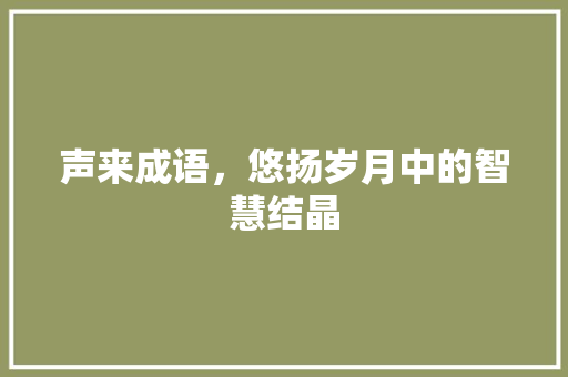 声来成语，悠扬岁月中的智慧结晶