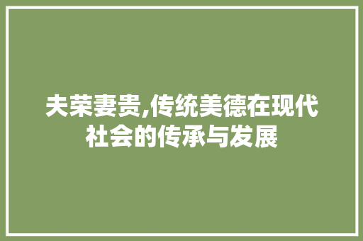 夫荣妻贵,传统美德在现代社会的传承与发展