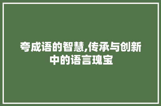 夸成语的智慧,传承与创新中的语言瑰宝