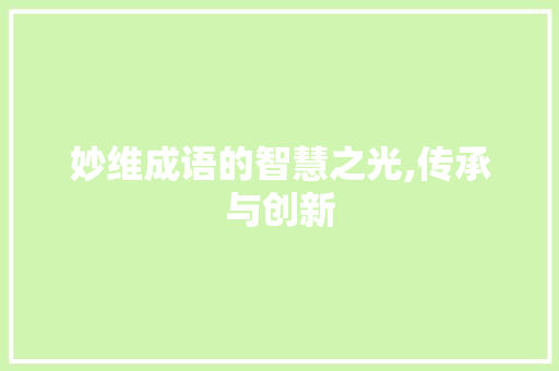 妙维成语的智慧之光,传承与创新