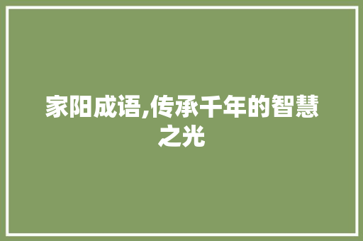 家阳成语,传承千年的智慧之光 英语单词