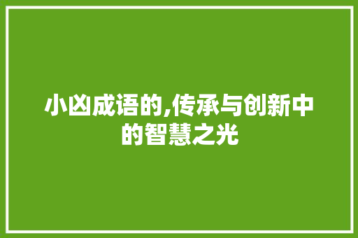小凶成语的,传承与创新中的智慧之光