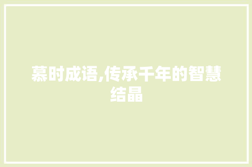 慕时成语,传承千年的智慧结晶