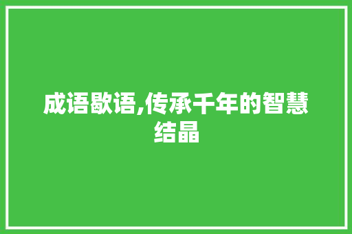 成语歇语,传承千年的智慧结晶