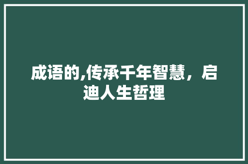 成语的,传承千年智慧，启迪人生哲理 英语单词