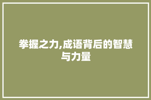 拳握之力,成语背后的智慧与力量