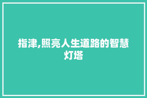 指津,照亮人生道路的智慧灯塔