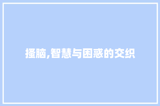 搔脑,智慧与困惑的交织