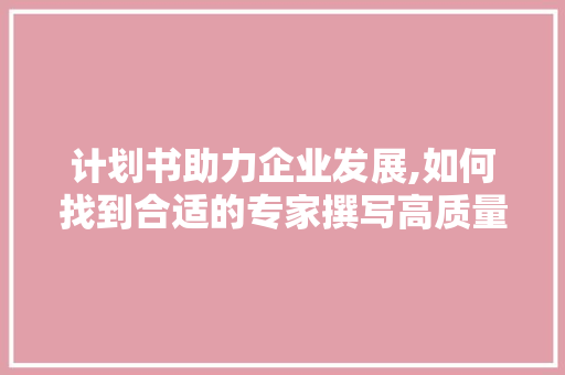 计划书助力企业发展,如何找到合适的专家撰写高质量文章