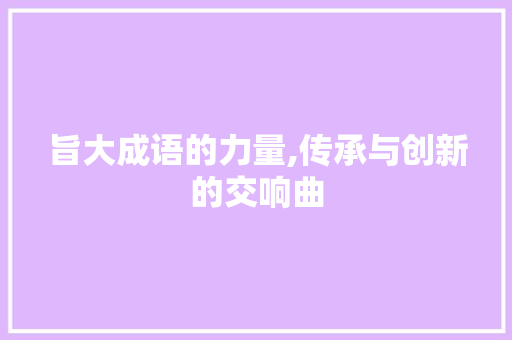 旨大成语的力量,传承与创新的交响曲