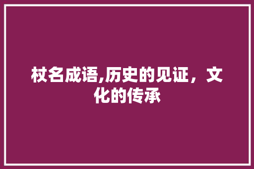 杖名成语,历史的见证，文化的传承