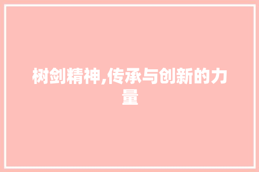 树剑精神,传承与创新的力量