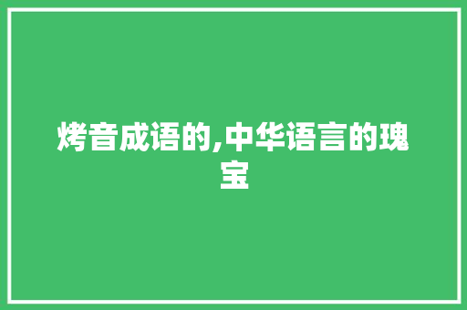 烤音成语的,中华语言的瑰宝