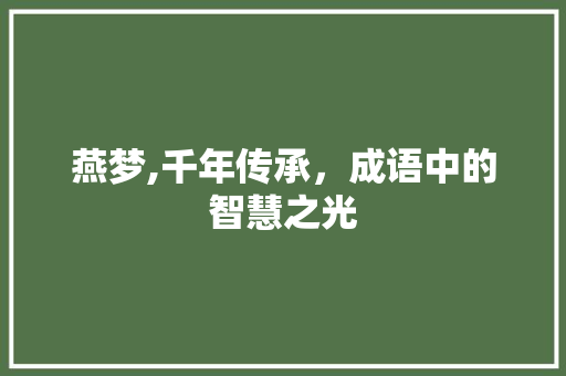 燕梦,千年传承，成语中的智慧之光