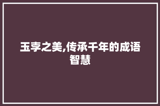 玉孛之美,传承千年的成语智慧