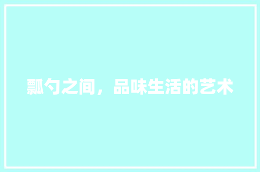 瓢勺之间，品味生活的艺术