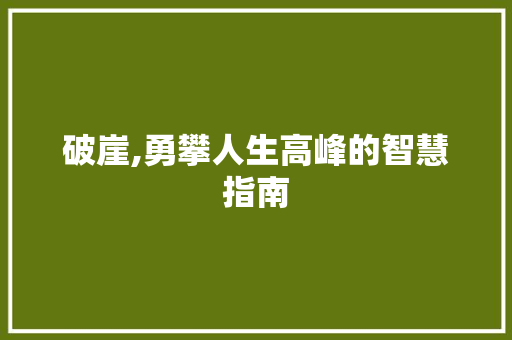 破崖,勇攀人生高峰的智慧指南