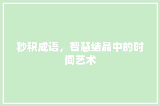 秒积成语，智慧结晶中的时间艺术
