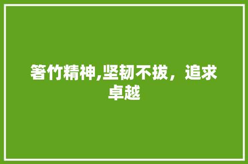 箸竹精神,坚韧不拔，追求卓越