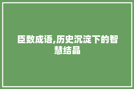 臣数成语,历史沉淀下的智慧结晶